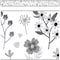 Teacher Created Resources Black and White Floral Straight Border Trim, 72PK 6808 - alternate 2